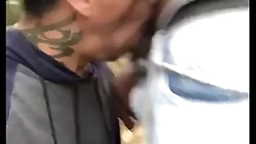 Mavanbo me parou na rua