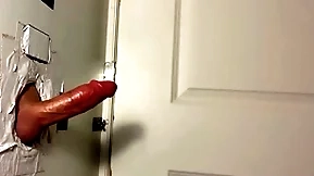 Hung panama megalopolis fan
